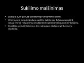 Didysis Vilniaus Seimas 1905m. 13 puslapis