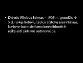 Didysis Vilniaus Seimas 1905m. 3 puslapis