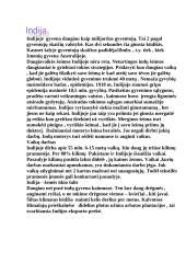 Milžiniškas Azijos žemynas 6 puslapis