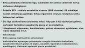 Apie erkinį encefalitą 2 puslapis
