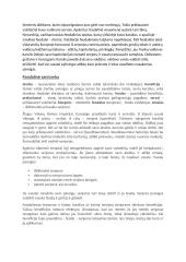 Apie feodalizmą 2 puslapis