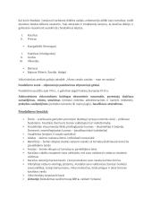 Apie feodalizmą 3 puslapis