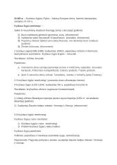 Istorijos pasiruošimas egzaminui 2 puslapis