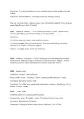 Istorijos pasiruošimas egzaminui 3 puslapis