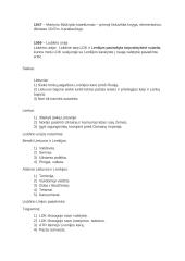 Istorijos pasiruošimas egzaminui 7 puslapis