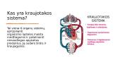 Kraujotakos sistema ir ligos 2 puslapis