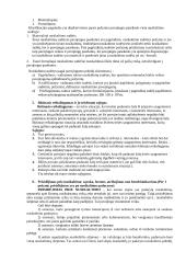 Pasiruošimas baudžiamosios teisės koliokviumui 2 puslapis