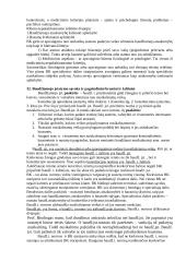 Pasiruošimas baudžiamosios teisės koliokviumui 16 puslapis