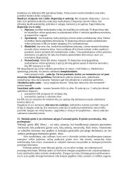 Pasiruošimas baudžiamosios teisės koliokviumui 17 puslapis