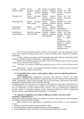 Pasiruošimas baudžiamosios teisės koliokviumui 6 puslapis