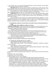 Pasiruošimas baudžiamosios teisės koliokviumui 7 puslapis