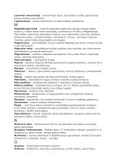 Sąvokos istorijos egzaminui 5 puslapis