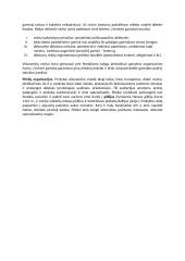 Viduramžiu Europos visuomenė 2 puslapis