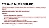 Taikos sutartys po I pasaulinio karo 8 puslapis
