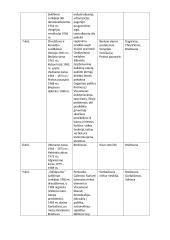 Tarptautinė situacija. Lokaliniai karai 2 puslapis