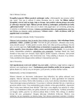 „Madagaskaro“ veikėjai, jų santykis su istoriniais prototipais 15 puslapis