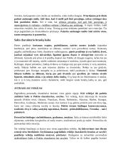 „Madagaskaro“ veikėjai, jų santykis su istoriniais prototipais 9 puslapis