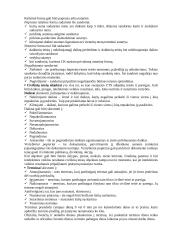 Civilinis teisinis santykis 2 puslapis