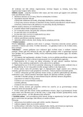 Civilinis teisinis santykis 3 puslapis