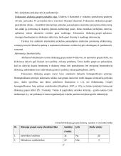 Internetinės prekybos panaudojimas verslo įmonėje UAB “Garbanos” 17 puslapis