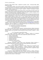 Duomenys ir programinė įranga 13 puslapis