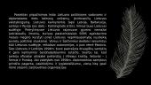 Lietuvos politinės raidos bruožai atkūrus nepriklausomybę 14 puslapis