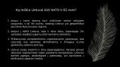 Lietuvos politinės raidos bruožai atkūrus nepriklausomybę 18 puslapis