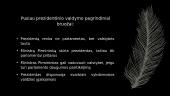 Lietuvos politinės raidos bruožai atkūrus nepriklausomybę 3 puslapis