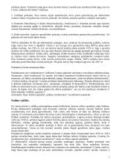 Rusija 1917-1939 m. 7 puslapis