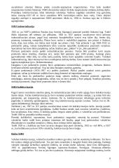 Rusija 1917-1939 m. 8 puslapis