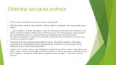 Novelės erdvė / veiksmo vieta - "Metamorfozė" 4 puslapis