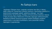 NATO po Šaltojo karo iki dabar 2 puslapis