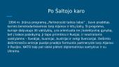 NATO po Šaltojo karo iki dabar 3 puslapis