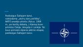 NATO po Šaltojo karo iki dabar 5 puslapis