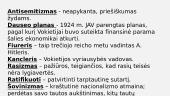 Nuo pirmo pasaulinio karo, iki antro. Vokietija 4 puslapis