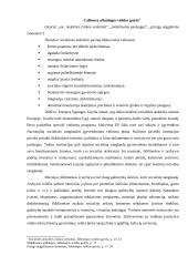 Ekstensyvių paslaugų informacijos įstaigose apžvalga 16 puslapis