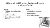 Gregoro ir šeimos santykiai iki metamorfozės 2 puslapis