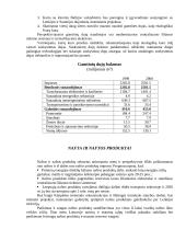 Elektros energetikos sistema 5 puslapis