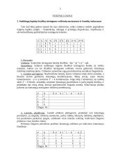 Elementarių logikos užduočių pratybos 2 puslapis