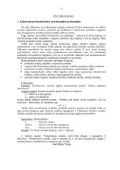 Elementarių logikos užduočių pratybos 11 puslapis