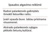 XIX a. – XX a. pradžios Lietuvos kultūros bruožai 13 puslapis