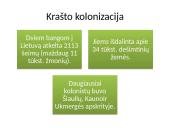 XIX a. – XX a. pradžios Lietuvos kultūros bruožai 8 puslapis