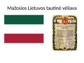 Mažosios Lietuvos likimas Vokietijos imperijoje 12 puslapis