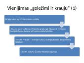 Nacionalizmo epochos Europa 17 puslapis