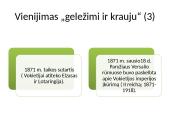 Nacionalizmo epochos Europa 19 puslapis