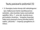 Nacionalizmo epochos Europa 7 puslapis