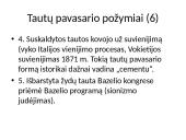 Nacionalizmo epochos Europa 8 puslapis