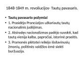 Nacionalizmo epochos Europa 10 puslapis