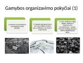 Pramonės perversmas (pagal egzamino programą) 13 puslapis