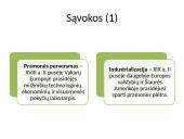 Pramonės perversmas (pagal egzamino programą) 3 puslapis
